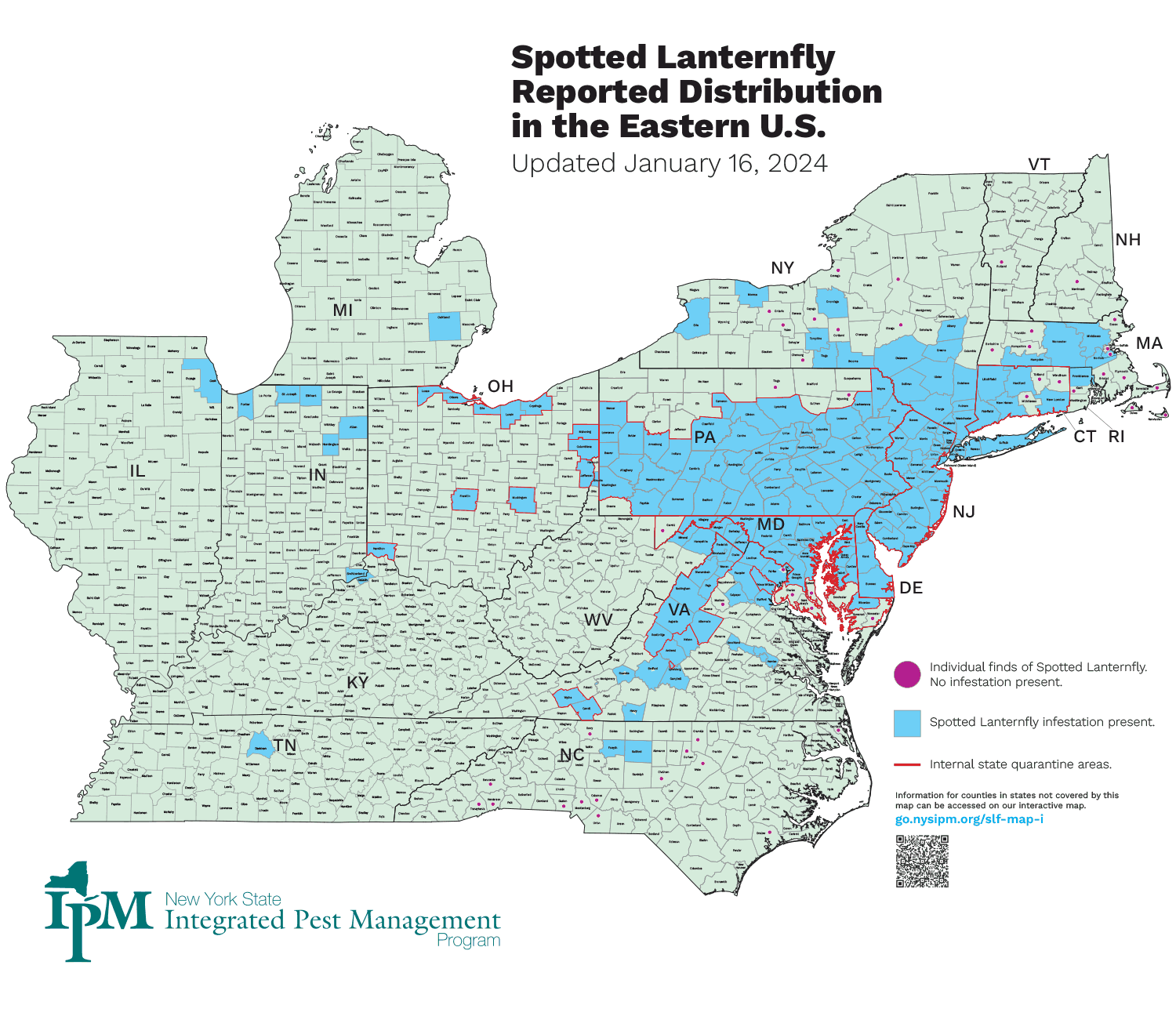 Spotted Lanternfly Reported Distribution