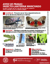 Pest Notice: Spotted Lanternfly